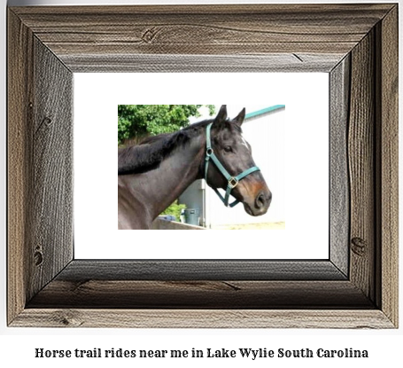 horse trail rides near me in Lake Wylie, South Carolina